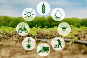 Sustainable Agriculture Technologies