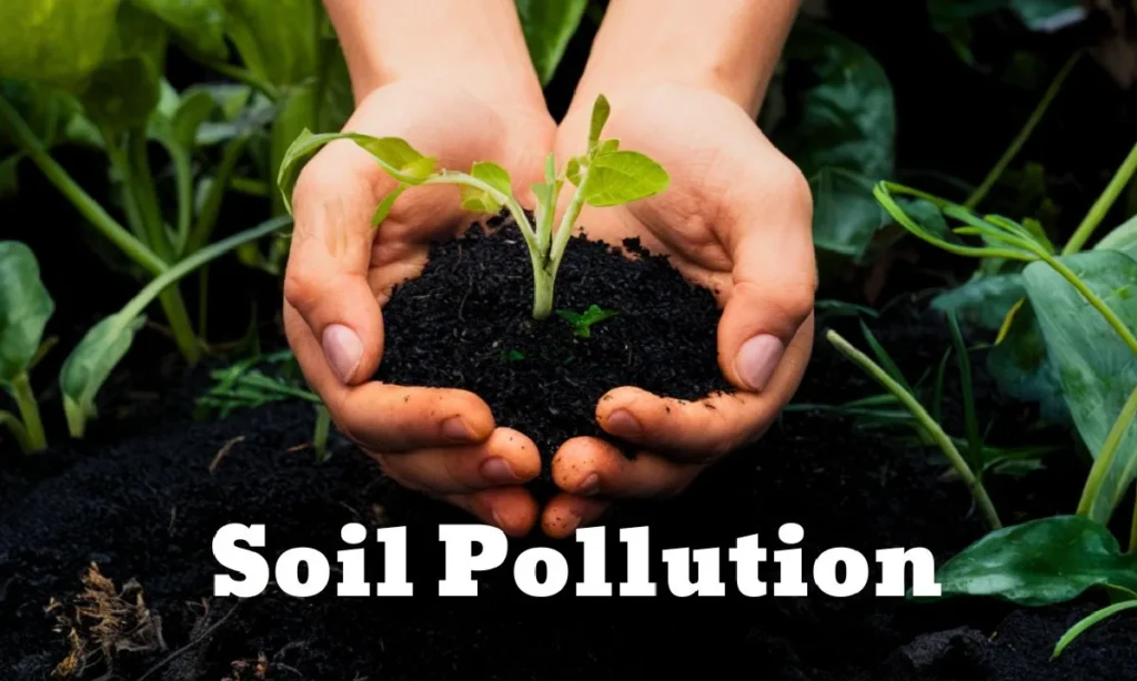 Soil Pollution: Causes, Effects, and Solutions