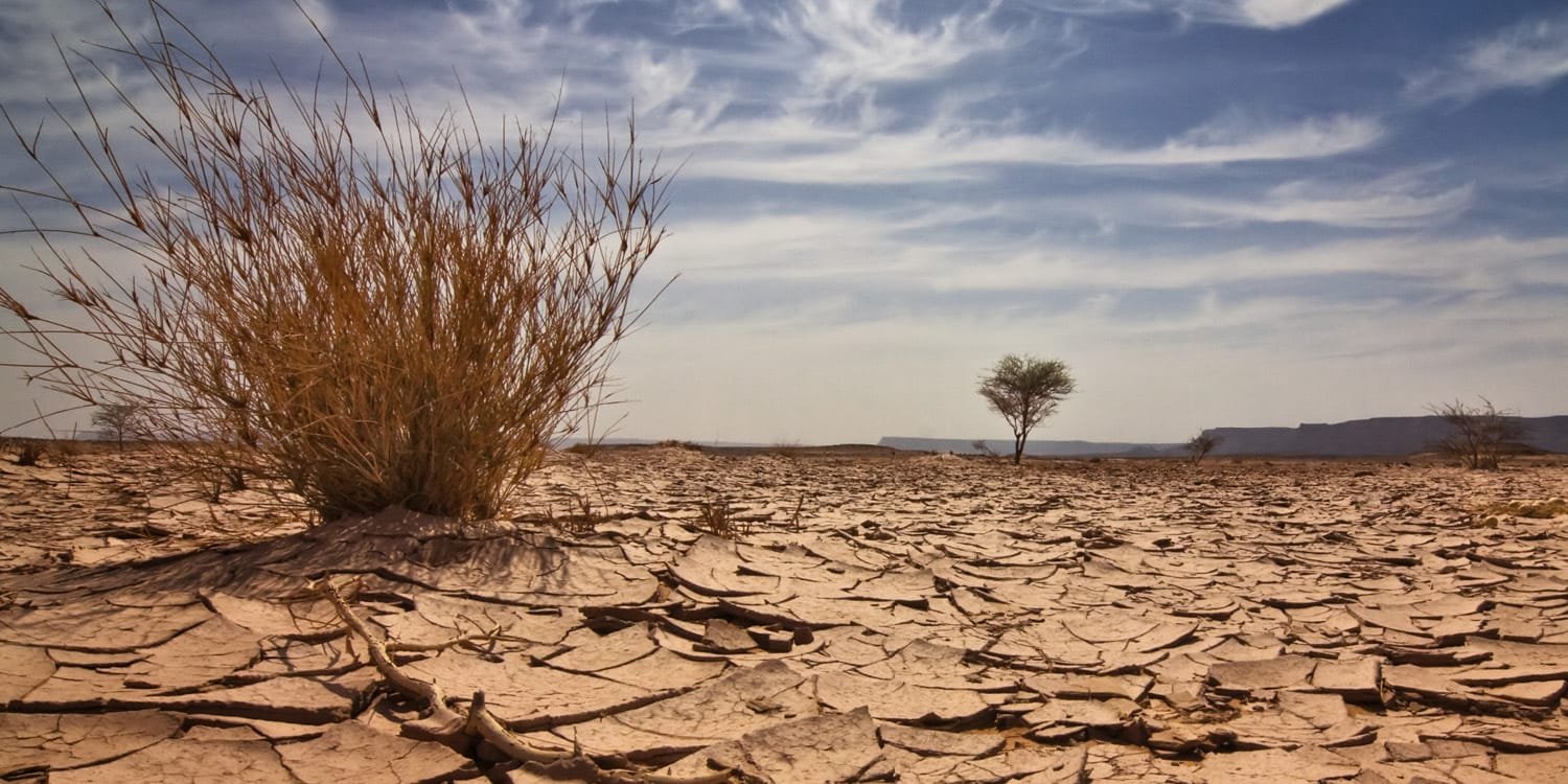 The Impact of Climate Change on Global Weather and Ecosystems